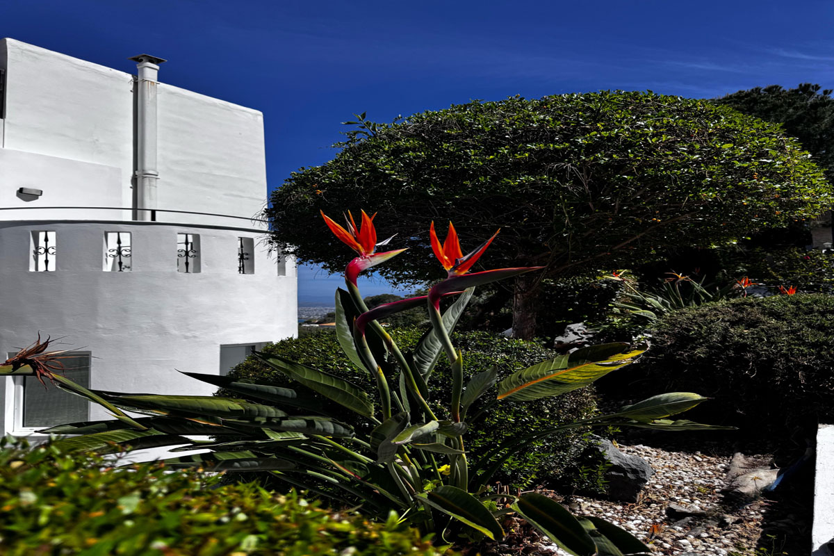 Villa Artemis